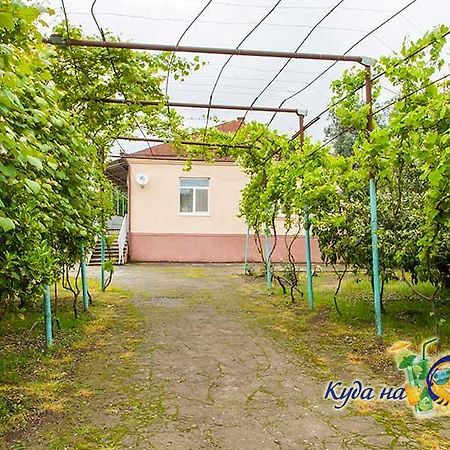 Hotel U Vili Picunda Zewnętrze zdjęcie