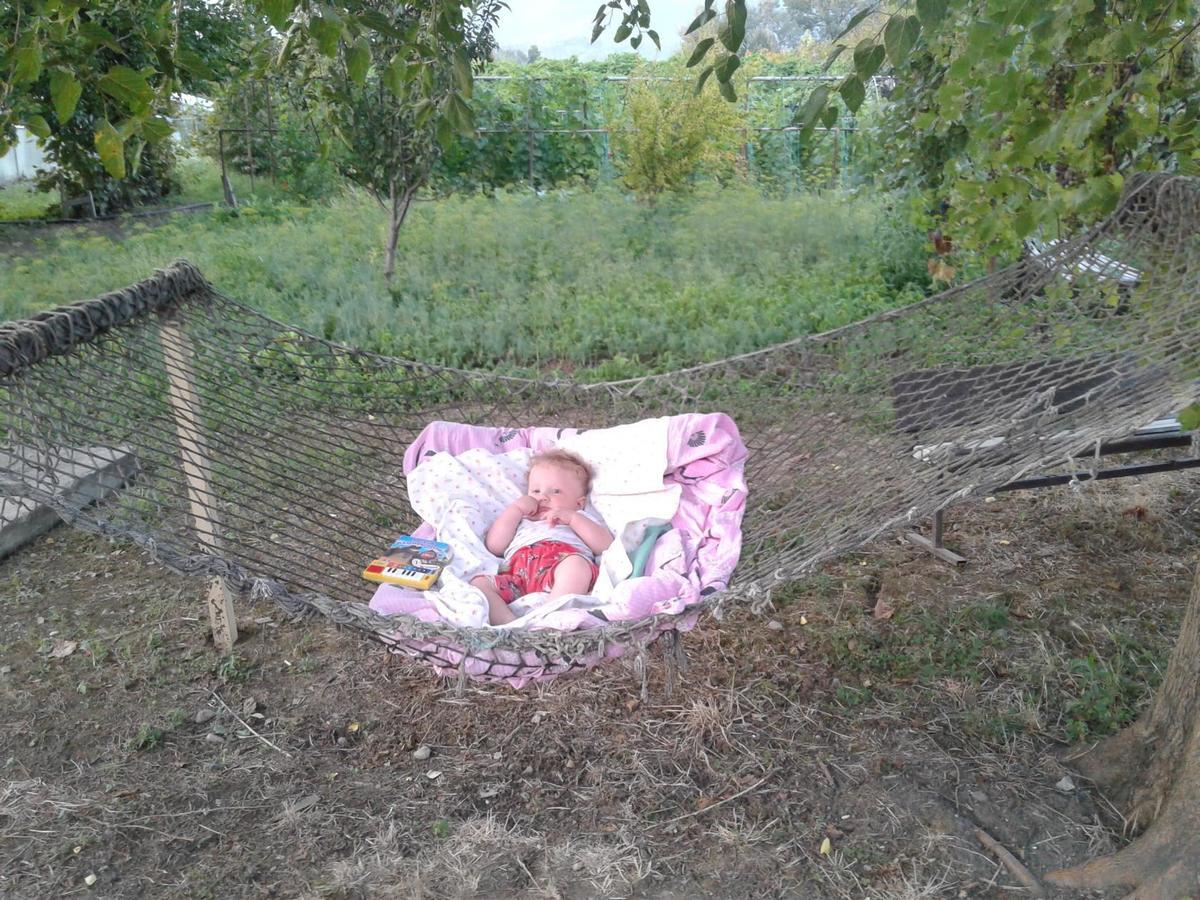 Hotel U Vili Picunda Zewnętrze zdjęcie